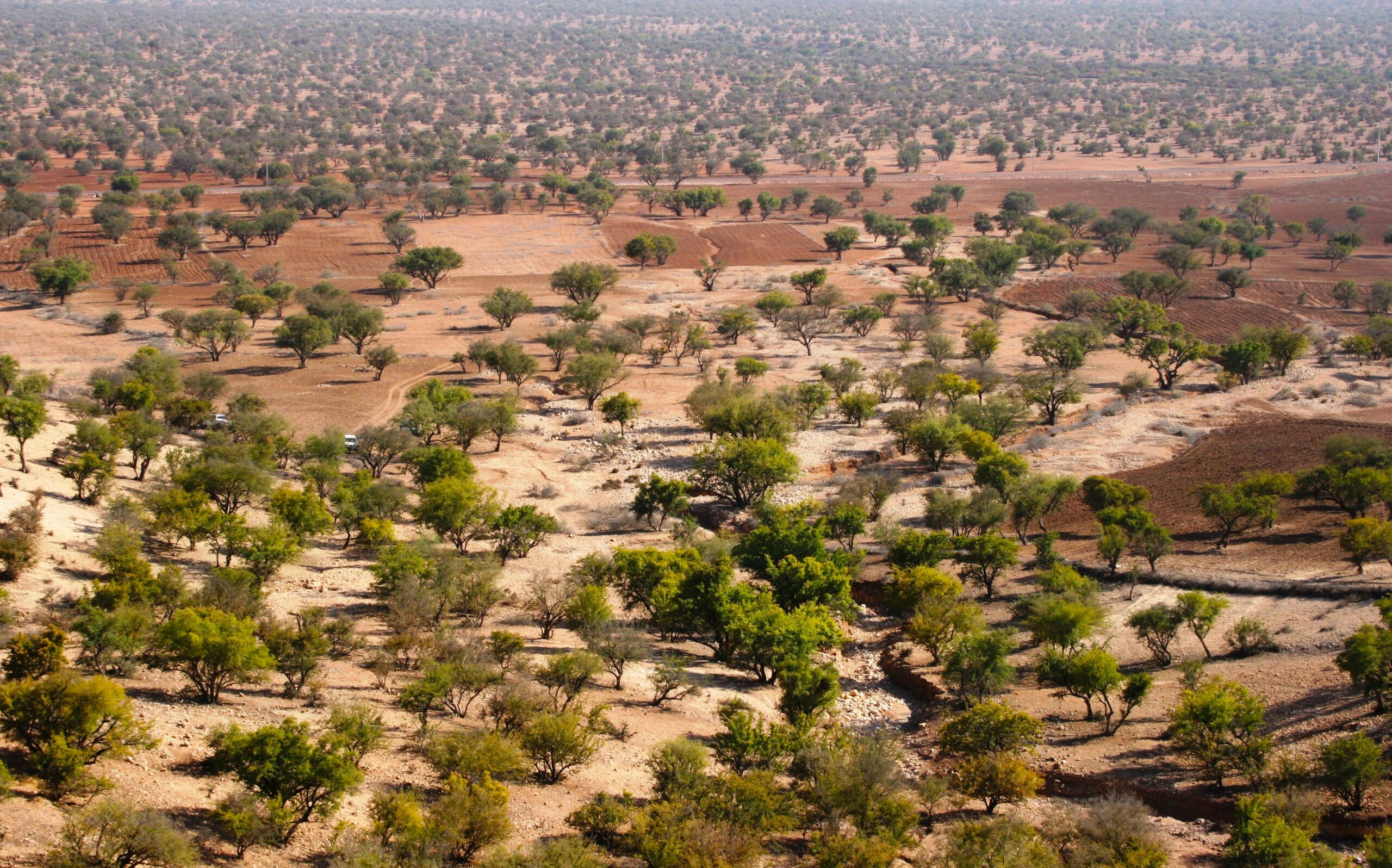 Terrains en Vente