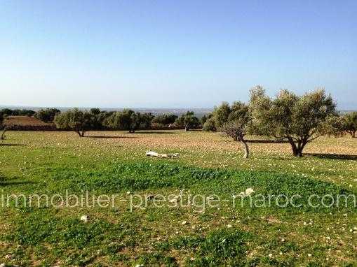 TERRAIN de 10Hectares titré, à seulement 14 Kms d'Essaouira