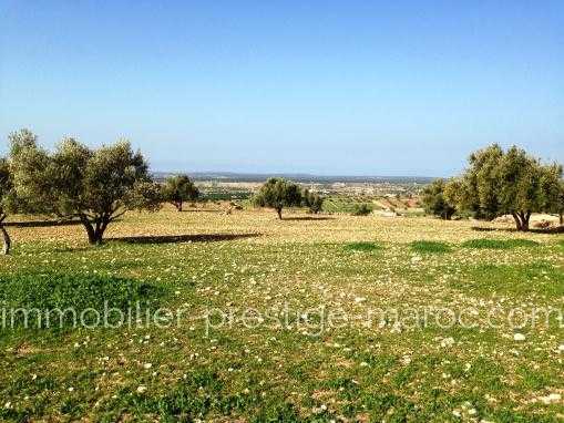 TERRAIN de 10Hectares titré, à seulement 14 Kms d'Essaouira