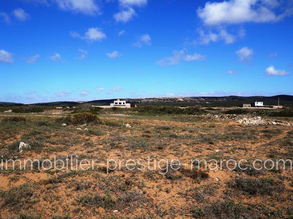Terrain en Vente à Essaouira
