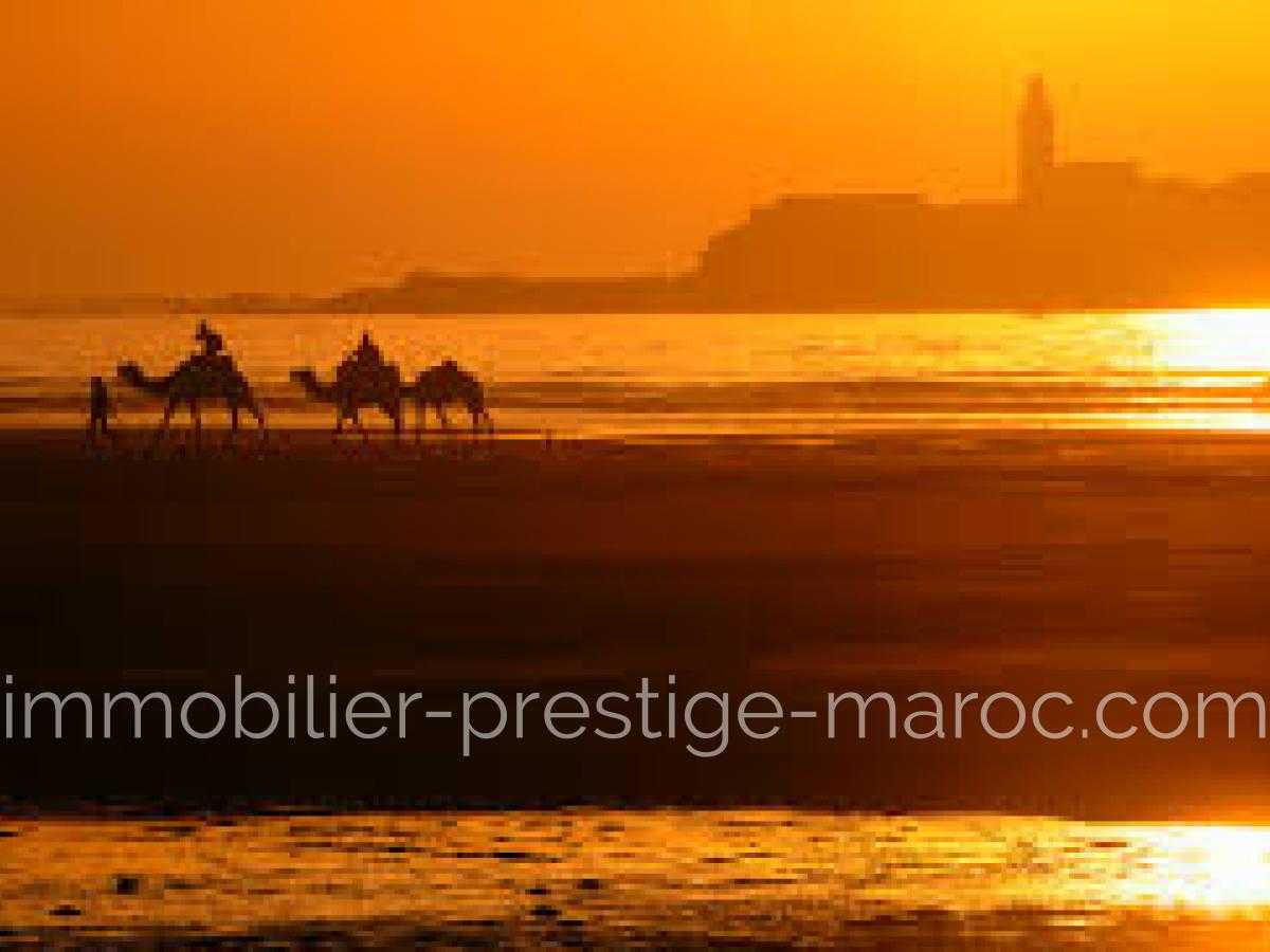 Terrain en Vente à Essaouira