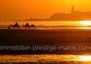 Terrain en Vente à Essaouira