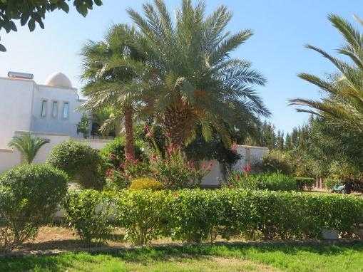 Splendide VILLA avec piscine à 14 Km à l'Est d'Essaouira