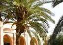 Villa Surface 700 m²