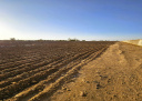 Terrain