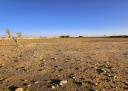 Terrain en Vente à Marrakech