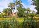 Villa Area 350 m²